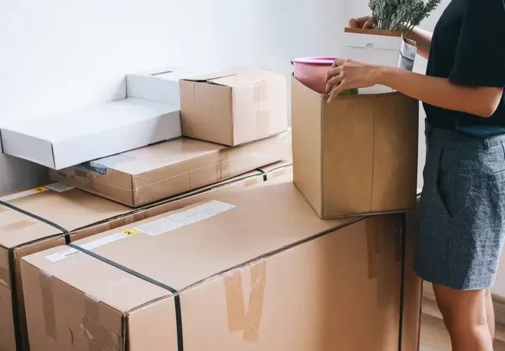 Packservice Umzug in Bargteheide