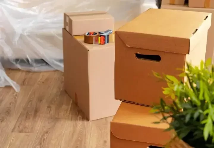 Sorgfältig gepackter Umzugskarton für den Umzug in Buchholz